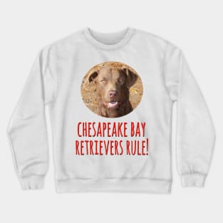 Chesapeake Bay Retrievers Rule! Crewneck Sweatshirt